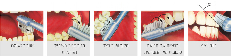 צחצוח שיניים נכון